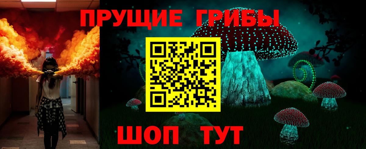 Галлюциногенные грибы Psilocybe Каменск-Шахтинский
